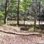 creek-trails