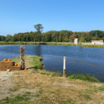 Community Park Pond